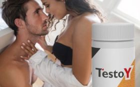 TestoY