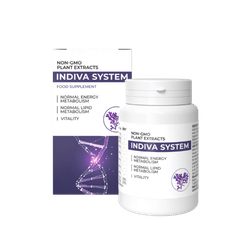 Indiva System bulgaria